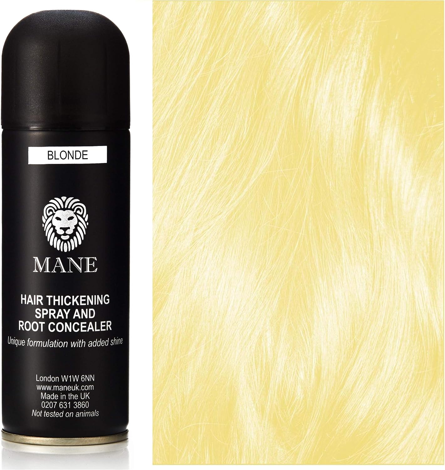 Mane Haarverdichtungsspray und Ansatz-Concealer, 200 ml